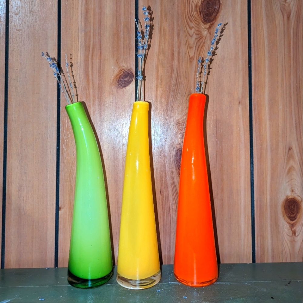 Vintage Retro Mid Century Modern Case Set